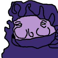 ���܂��̂���